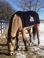 CanDoCowgirl Fleece Blanket-Cooler